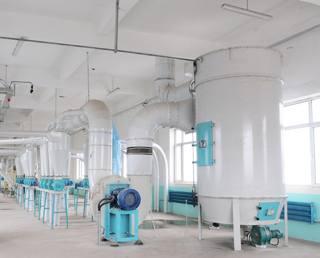 Maize milling plant or corn flour milling plant dedusting