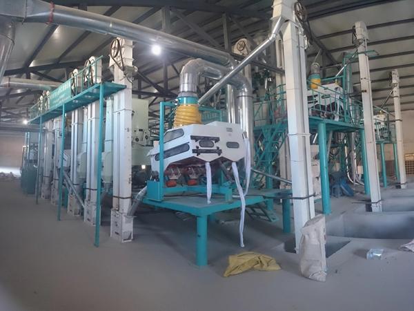 50TPD Complete Corn Grinding Mill Plant